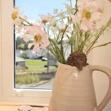 Poppy's Nook